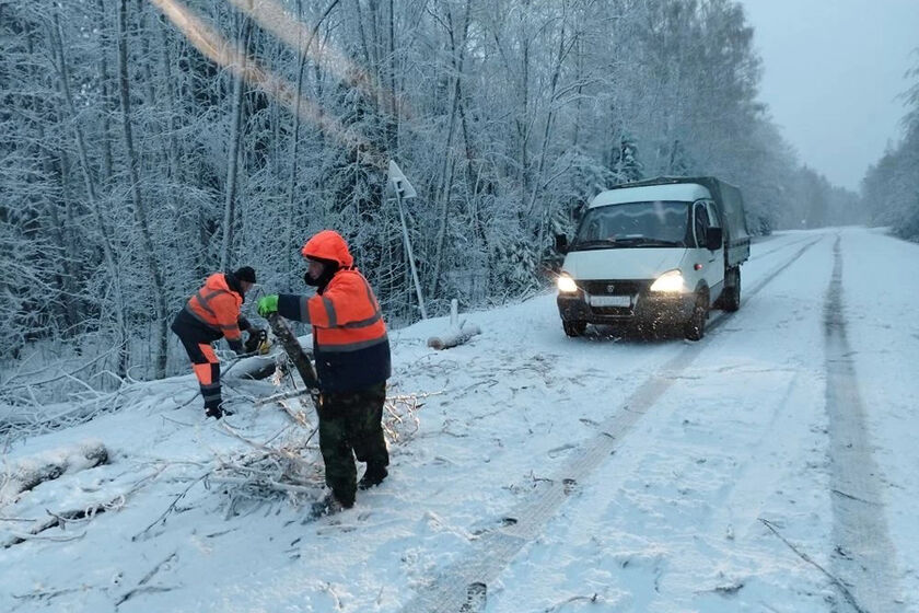 statics/images/arcticles/042026/29042026x5b7ed8c3.jpg