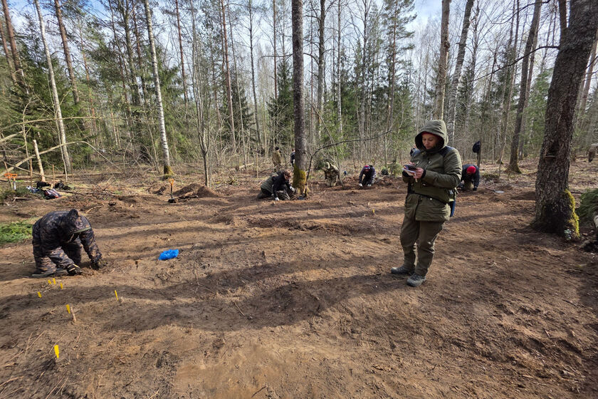 statics/images/arcticles/052026/13052026x71c094fa.jpg