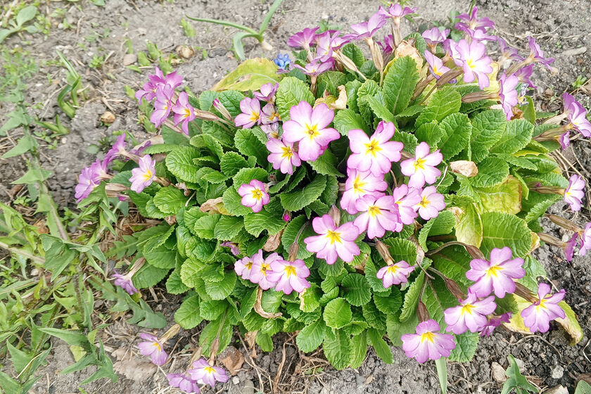 statics/images/arcticles/052026/13052026x8fed6dbd.jpg