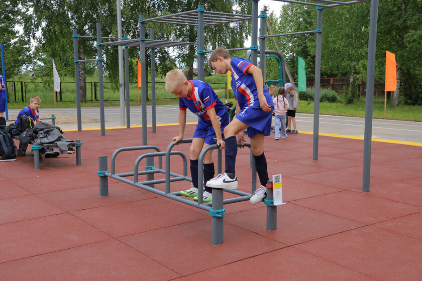 statics/images/arcticles/062026/02062026x517601f7.jpg