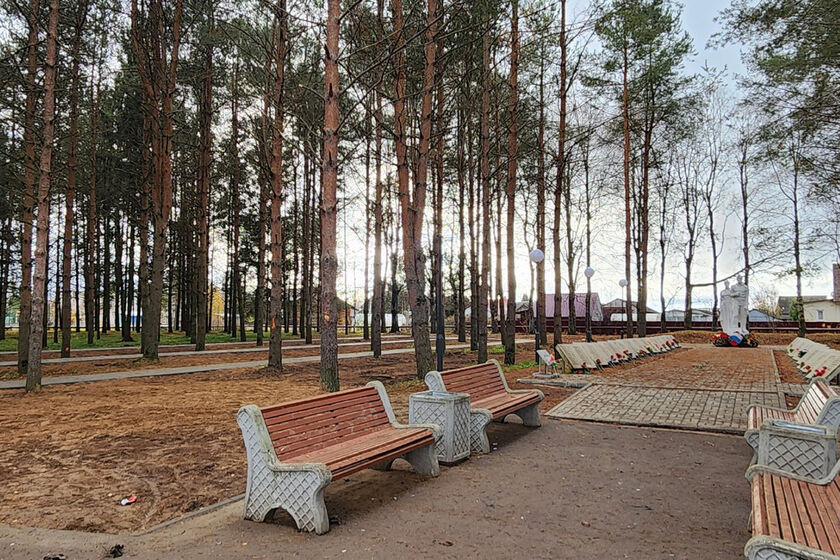 statics/images/arcticles/122024/25122024x694b785d.jpg