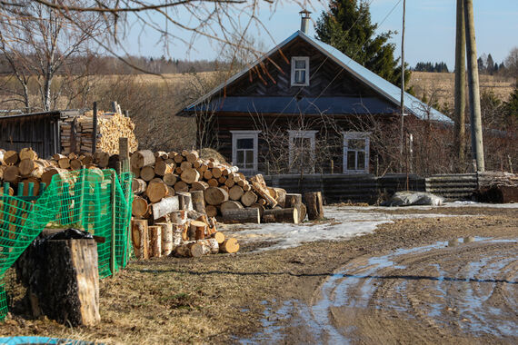 В области в два раза увеличили компенсацию на покупку дров