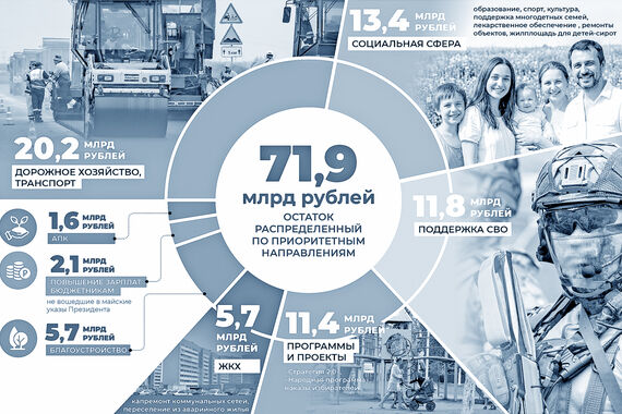 На что пошла кубышка?