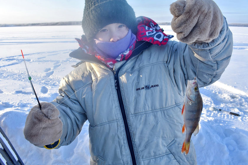 statics/images/arcticles/012024/17012024xae3e6e02.jpg