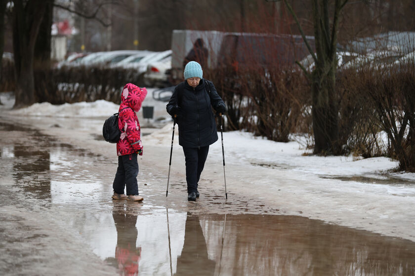 statics/images/arcticles/022025/19022025xeaf88924.jpg
