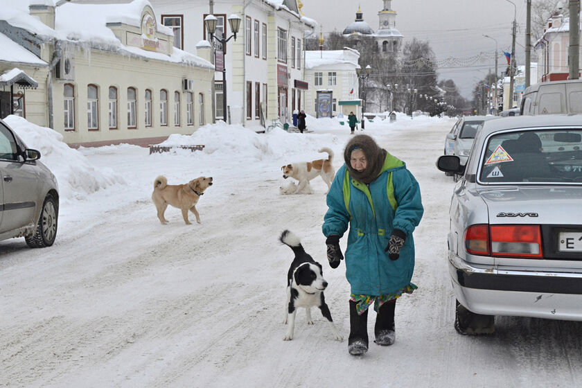statics/images/arcticles/042025/16042025x66aa03a1.jpg