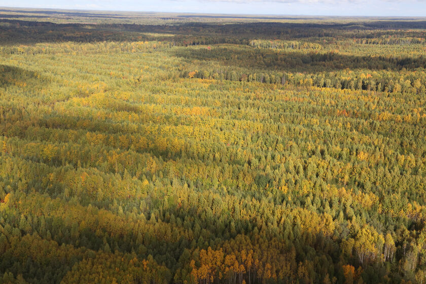 statics/images/arcticles/052024/31052024x62a0971e.jpg