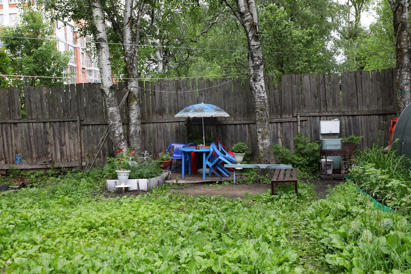 statics/images/arcticles/062024/26062024x7da3992a.jpg